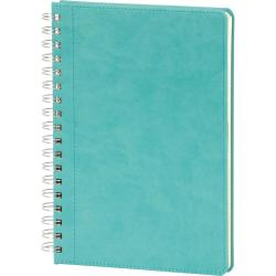 Spiralli Tarihsiz Defter ( 17 x 24 cm )